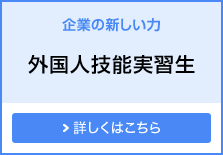 企業の新しい力 外国人技能実習生